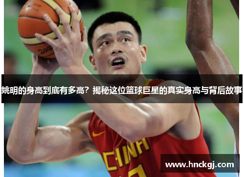 姚明的身高到底有多高？揭秘这位篮球巨星的真实身高与背后故事