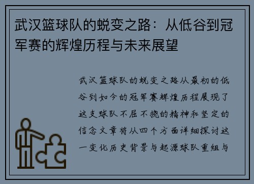 武汉篮球队的蜕变之路：从低谷到冠军赛的辉煌历程与未来展望
