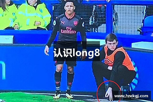 认识long8
